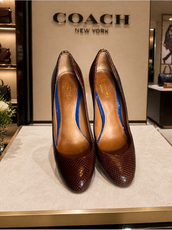 Coach Shoes - COACH Brown Textured Leather Pointed-Toe Pumps